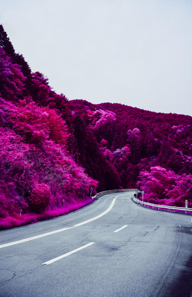 Hakone turnpike infra